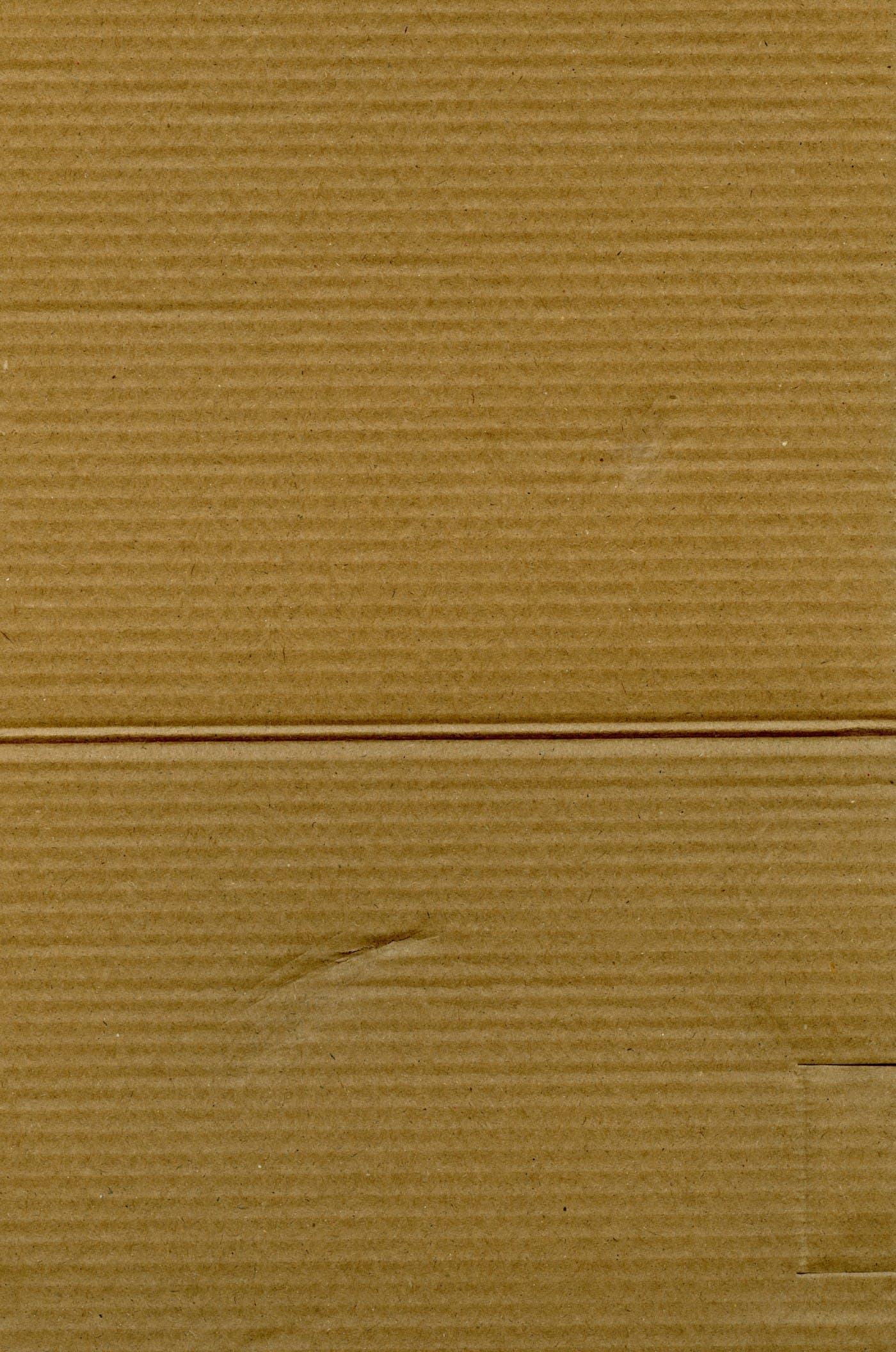 Close-up of the fluted edge of corrugated cardboard board